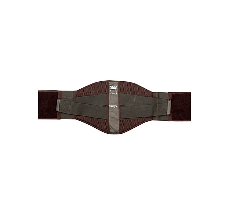 KIDNEY BELT